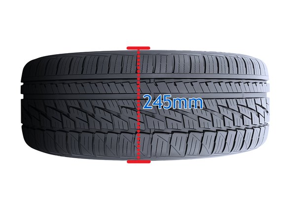 Cross section of the tire