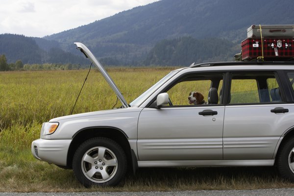 Noel Hendrickson/Digital Vision/Getty Images Spaniel in sports utility vehicle parked at roadside with bonnet open
